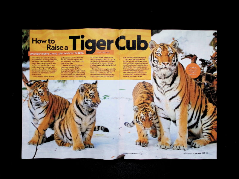 NATIONAL GEOGRAPHIC KIDS Apr 2026 - Part 2