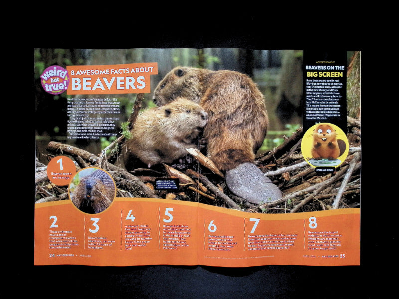 NATIONAL GEOGRAPHIC KIDS Apr 2026 - Part 3