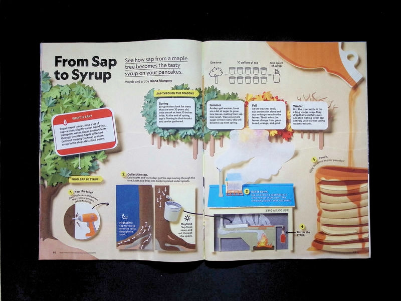 NATIONAL GEOGRAPHIC KIDS Nov 2026 - Part 2