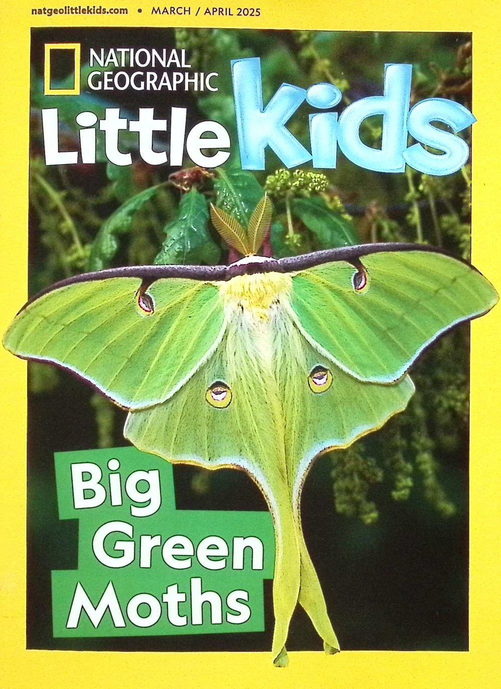 NATIONAL GEOGRAPHIC Little Kids [2025全年度6本]