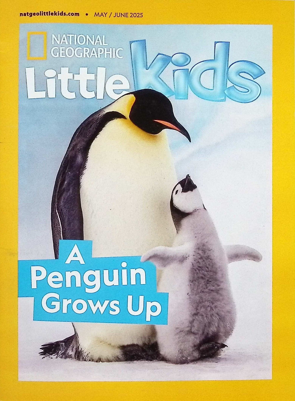 N.G. Little Kids May/Jun 2025