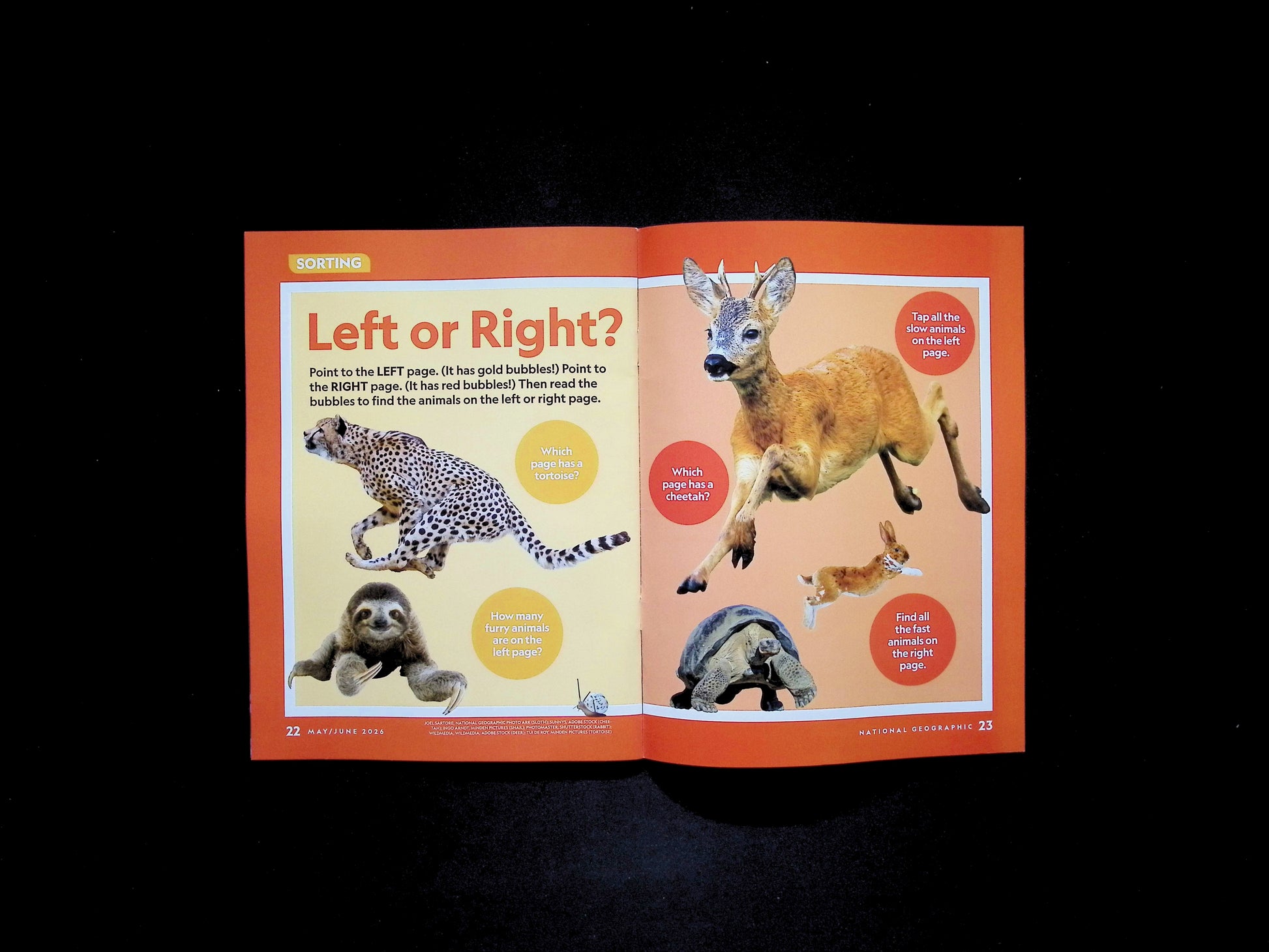 N.G. Little Kids May/Jun 2026 - Part 2
