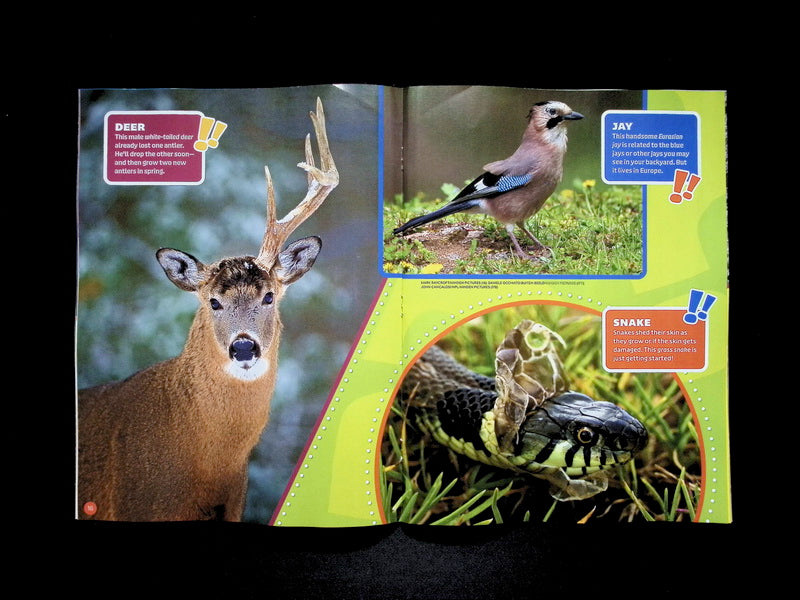 Ranger Rick [2026-02] V60N2 - Part 2