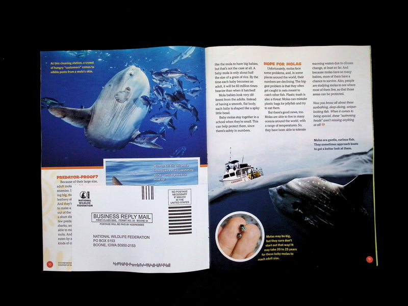 Ranger Rick [2026-02] V60N2 - Part 4