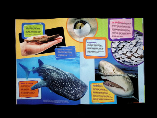 Ranger Rick [2026-04] V60N4 - Part 1