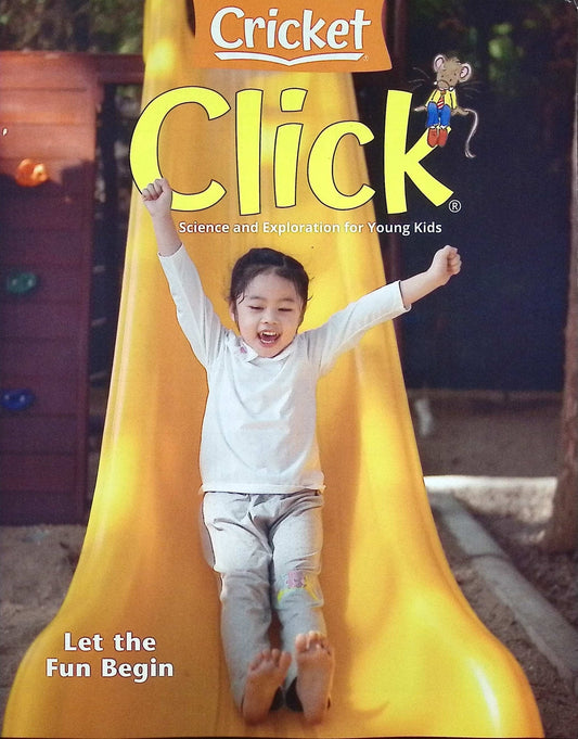 Click *** Vol.28 N.3 Mar/Apr 2025