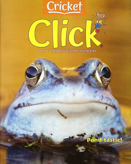 CLICK Vol.28 N.4 May/June 2025