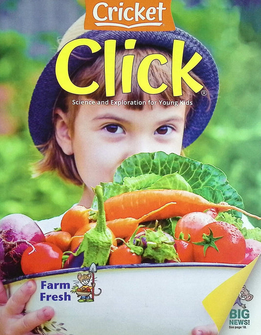 CLICK Vol.28 N.5 Jul/Aug 2025