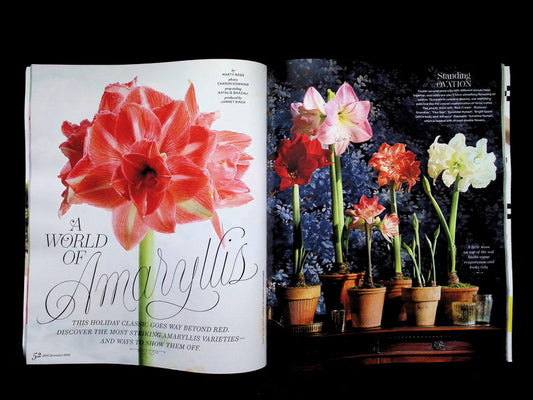 Better Homes and Gardens [2025-12] V.103 N.12