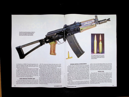 GUNS MAGAZINE [2025-11] V.71 N.11