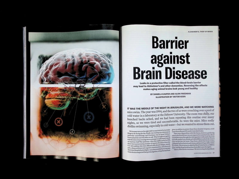 SCIENTIFIC AMERICAN/ HEALTHY BRAIN [63] V35N3 Sum/Fal 2026 - Part 1