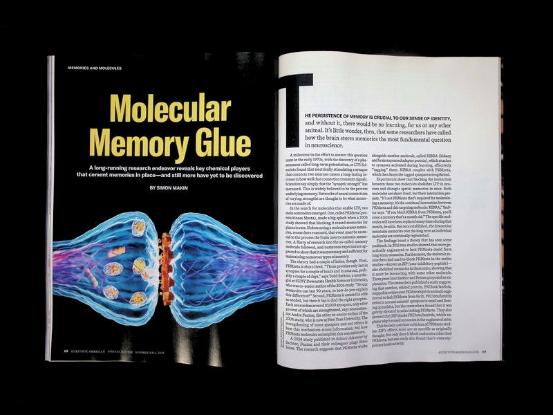 SCIENTIFIC AMERICAN/ HEALTHY BRAIN [63] V35N3 Sum/Fal 2026 - Part 4