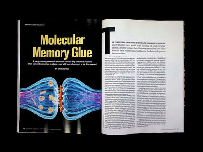 SCIENTIFIC AMERICAN/ HEALTHY BRAIN [63] V35N3 Sum/Fal 2026 - Part 4