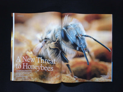 SCIENTIFIC AMERICAN [2025-05] V332N5
