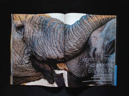 SCIENTIFIC AMERICAN [2025-05] V332N5