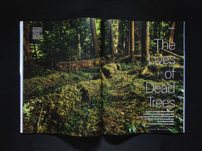 SCIENTIFIC AMERICAN [2025-10] V333N3