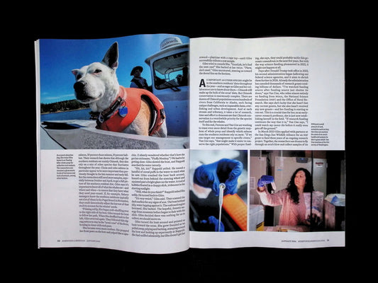 SCIENTIFIC AMERICAN [2026-01] V334N1