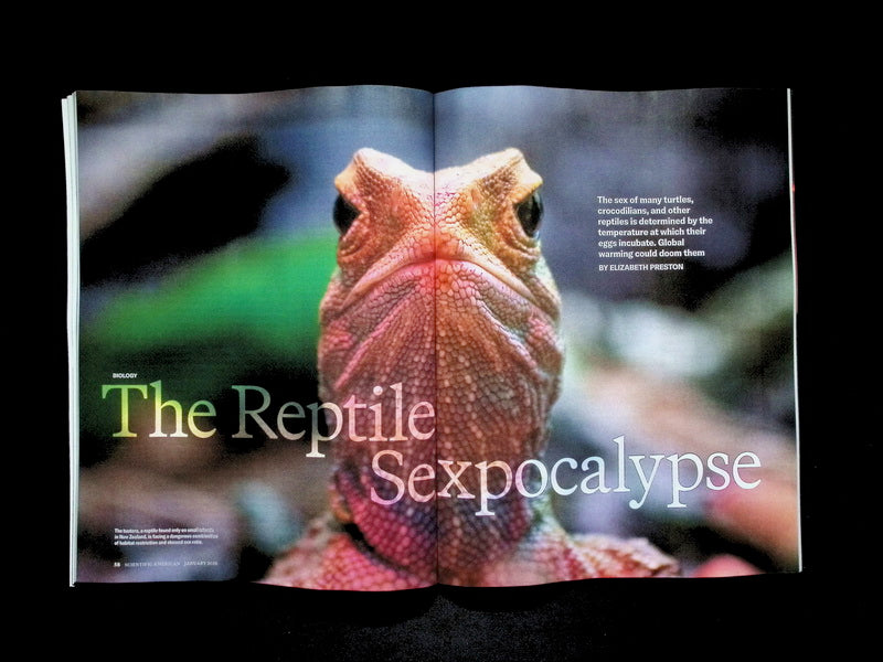 SCIENTIFIC AMERICAN [2026-01] V334N1