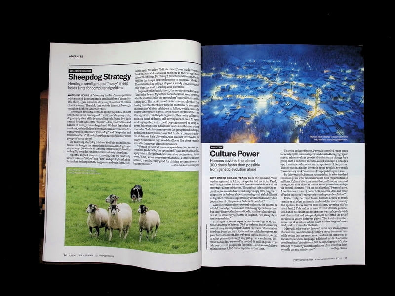 SCIENTIFIC AMERICAN [08] V335N1 Jul/Aug 2026 - Part 4