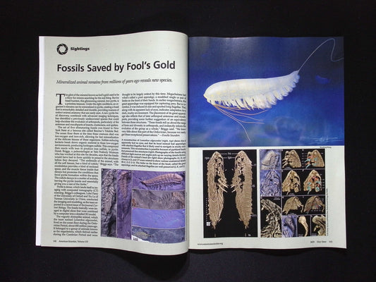 American Scientist [06] V113N3 May/June 2025