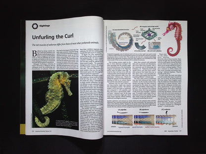 American Scientist [10] V113N5 Sep/Oct 2025