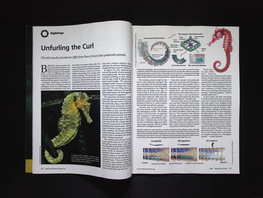 American Scientist [10] V113N5 Sep/Oct 2025