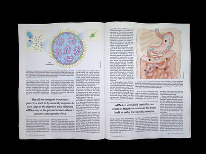 American Scientist [02] V114N1 Jan/Feb 2026