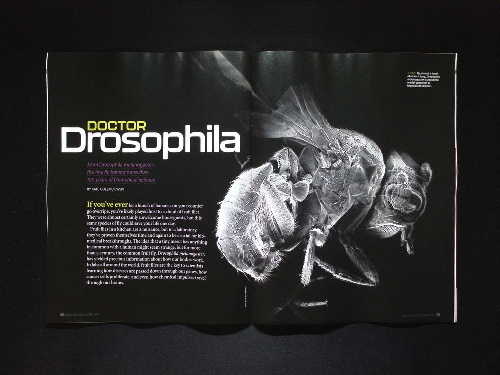 DISCOVER [08] V.46 N.4 Jul/Aug 2025