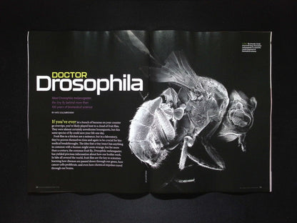 DISCOVER [08] V.46 N.4 Jul/Aug 2025
