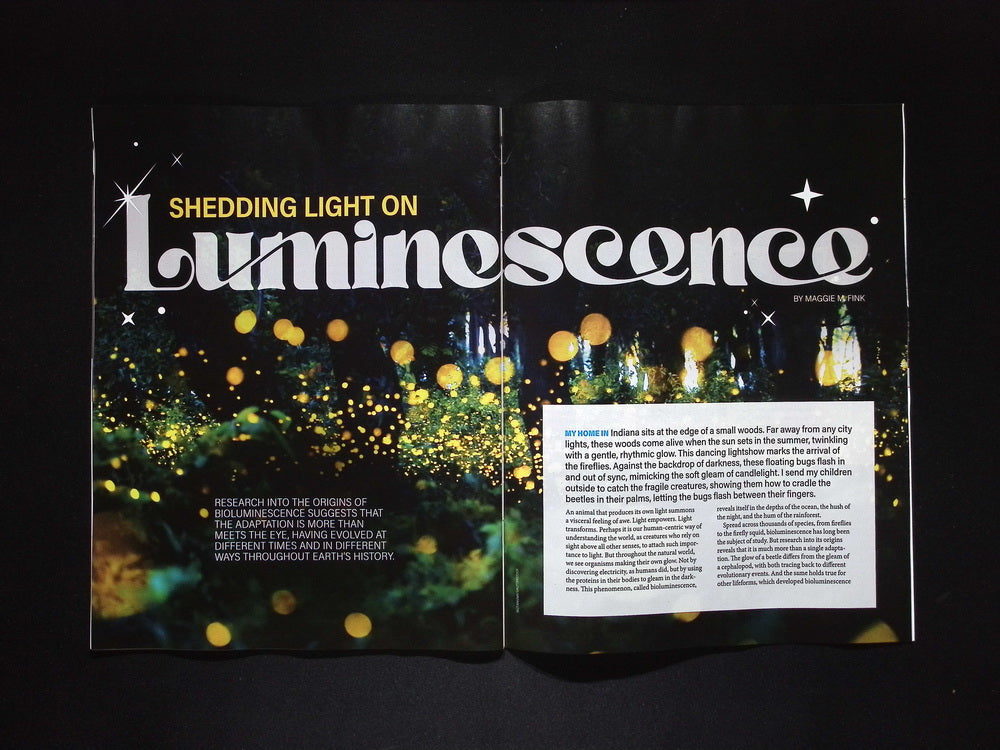 DISCOVER [10] V.46 N.5 Sep/Oct 2025