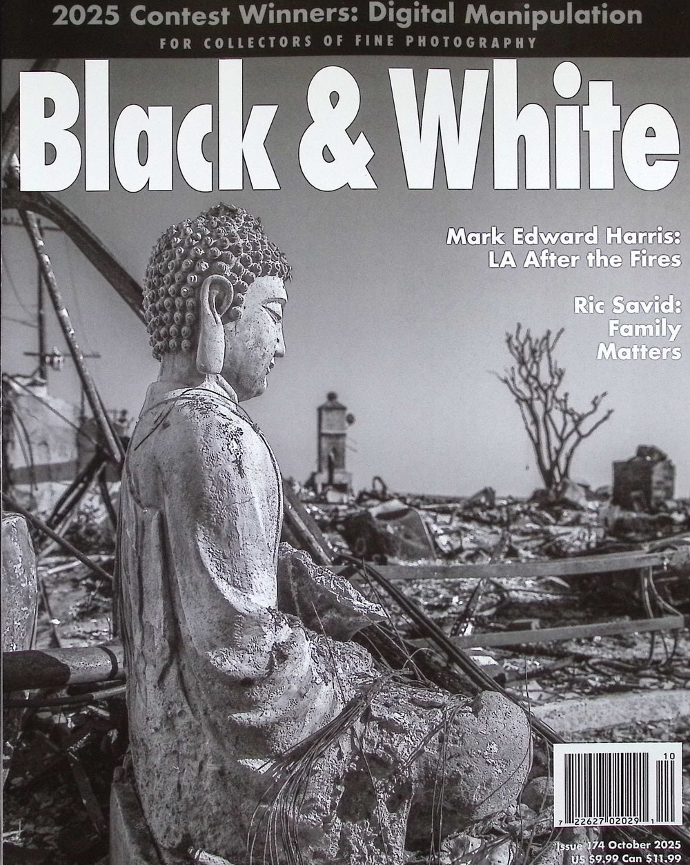 Black & White N174 [2025-10]