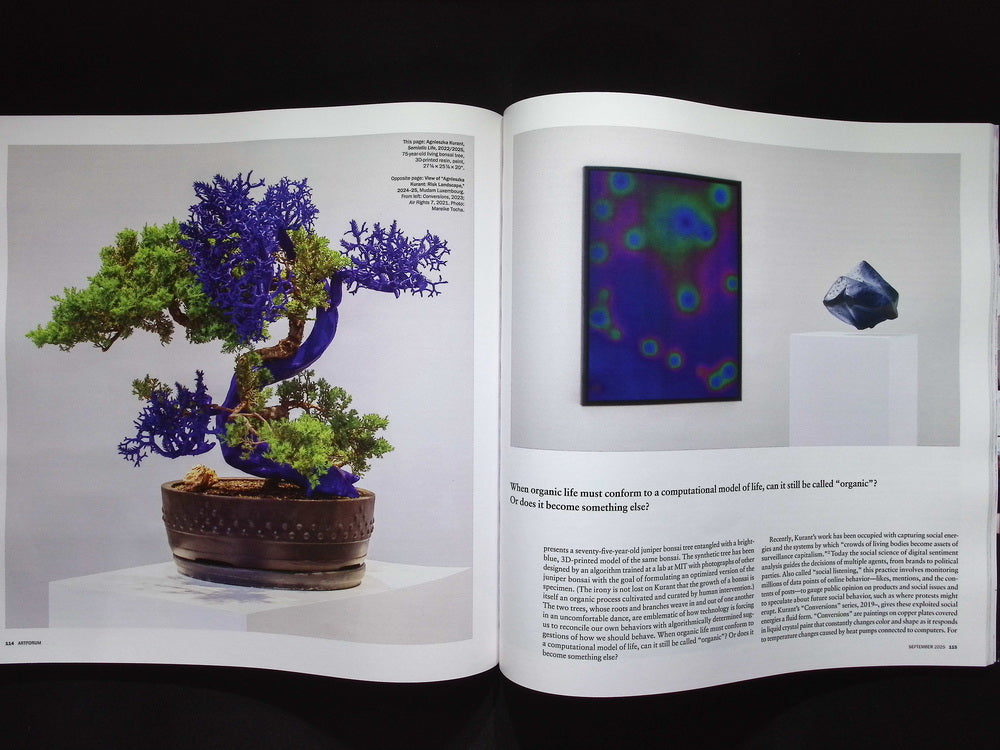 ARTFORUM [2025-09] V64N1
