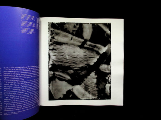 ARTFORUM [2025-11] V64N3