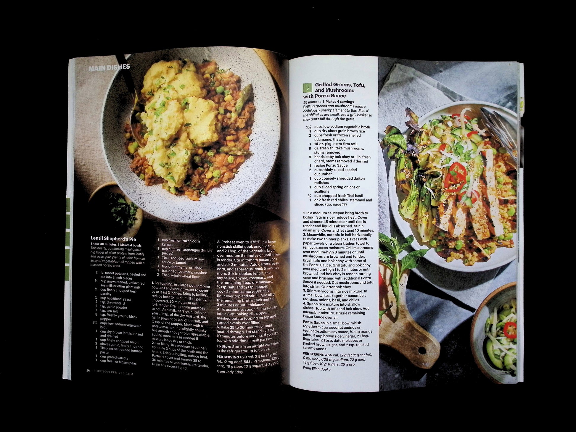 FORKS OVER KNIVES/ PLANT-BASED PROTEIN [66] 2026 - Part 3
