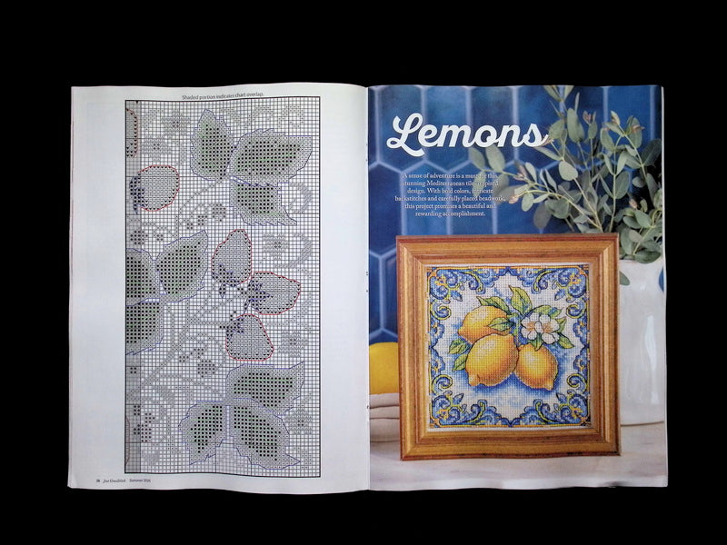 Just Cross Stitch [62] Summer 2026 - Part 3