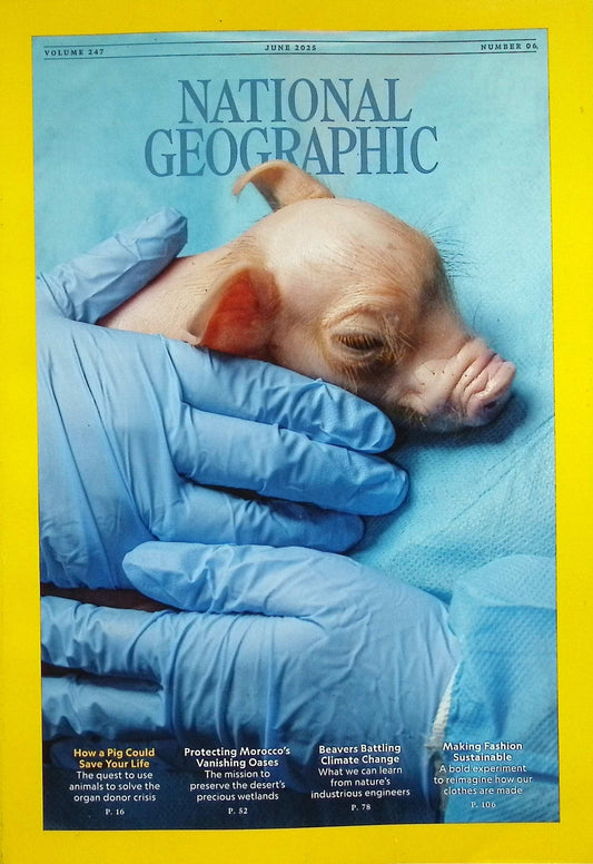 NATIONAL GEOGRAPHIC [2025-06] V.247N.6