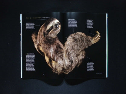 NATIONAL GEOGRAPHIC [2025-07] V.248N.1