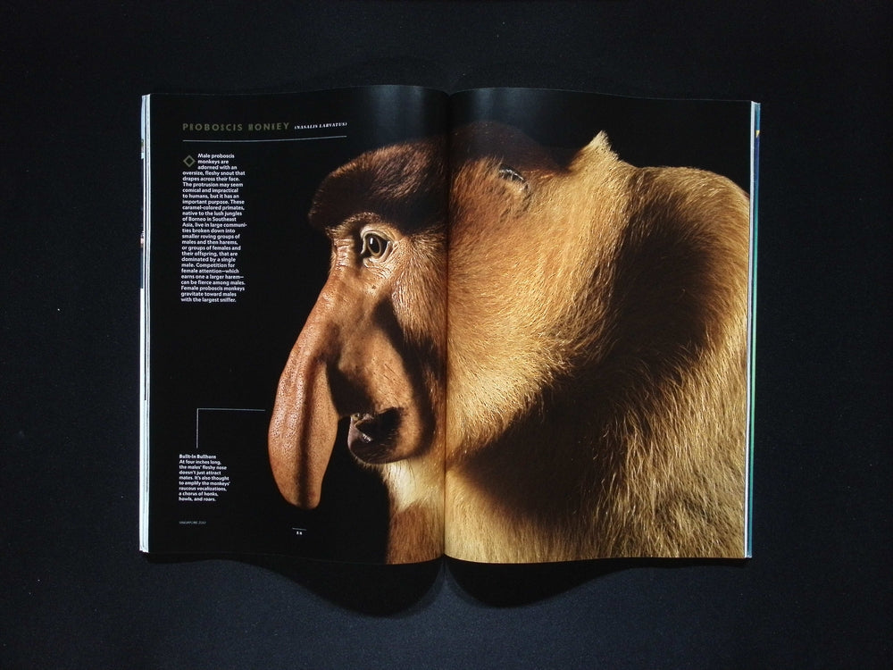 NATIONAL GEOGRAPHIC [2025-07] V.248N.1