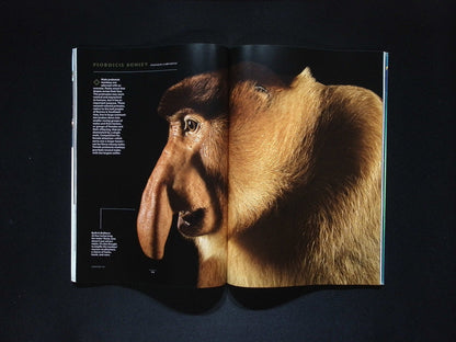 NATIONAL GEOGRAPHIC [2025-07] V.248N.1