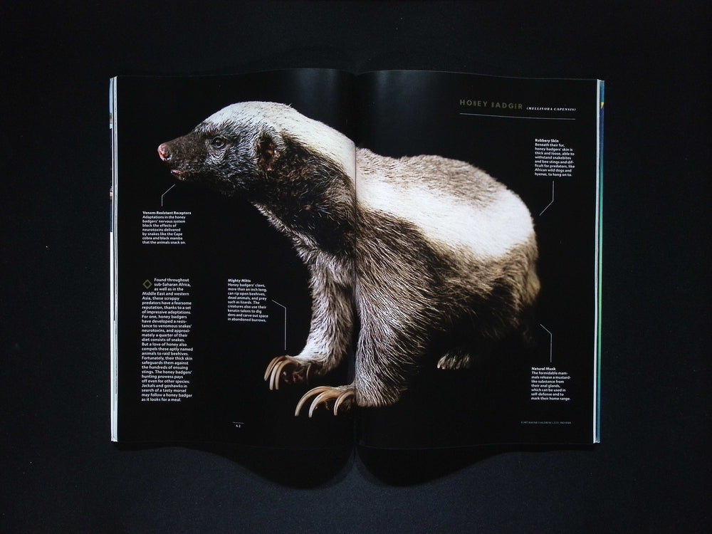 NATIONAL GEOGRAPHIC [2025-07] V.248N.1