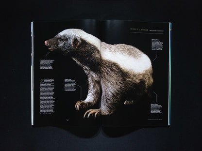 NATIONAL GEOGRAPHIC [2025-07] V.248N.1