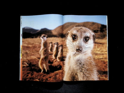 NATIONAL GEOGRAPHIC [2026-01]