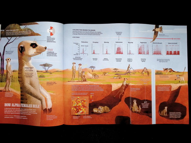 NATIONAL GEOGRAPHIC [2026-01]