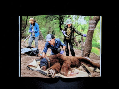 NATIONAL GEOGRAPHIC [2026-02]