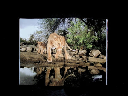 NATIONAL GEOGRAPHIC [2026-06] - Part 3