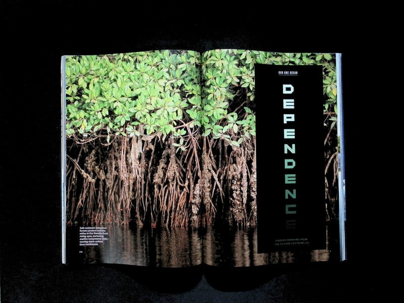 NATIONAL GEOGRAPHIC [2026-11] - Part 4