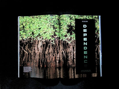 NATIONAL GEOGRAPHIC [2026-11] - Part 4