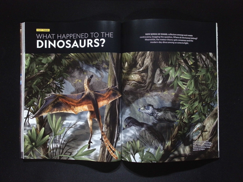 NATIONAL GEOGRAPHIC/ [56] DINOSAURS