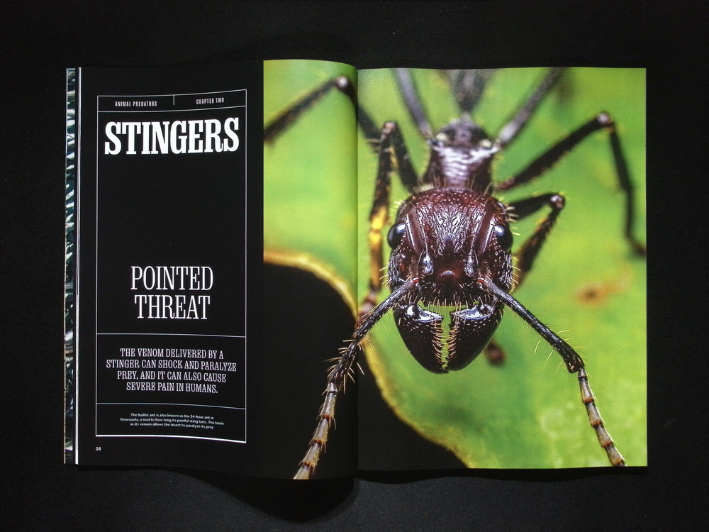 NATIONAL GEOGRAPHIC/ ANIMAL PREDATORS [56]
