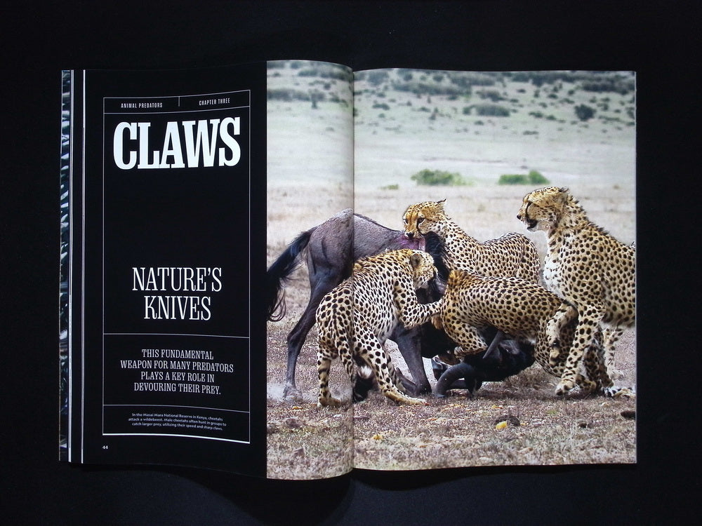 NATIONAL GEOGRAPHIC/ ANIMAL PREDATORS [56]